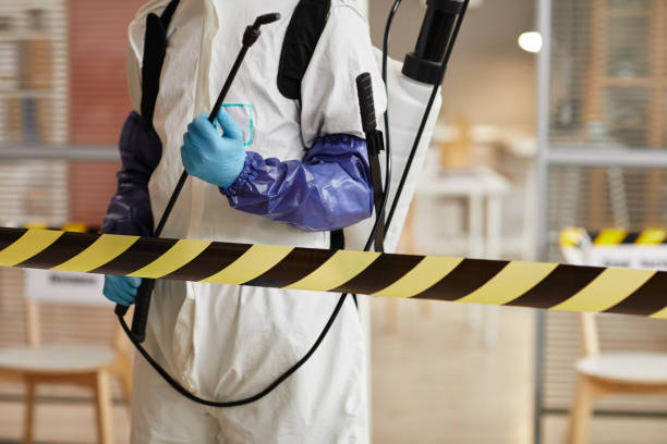 Professional Sewage Cleanup technician working in Newbury Park, CA